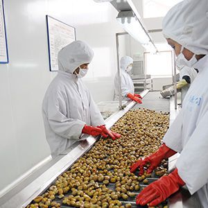 唐山栗圆实业有限公司