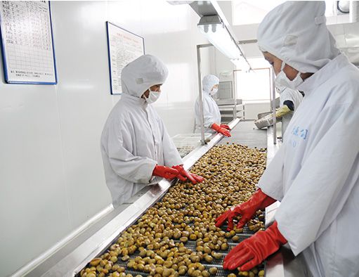 唐山栗圆实业有限公司