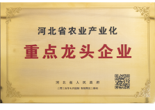 河北省重点龙头企业