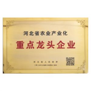 河北省人民政府关于认定河北省农业产业化重点龙头企业的通知