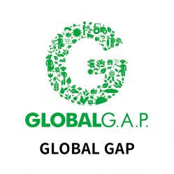 GLOBAL GAP认证