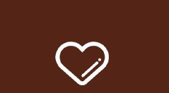 国际先进甘栗仁生产线